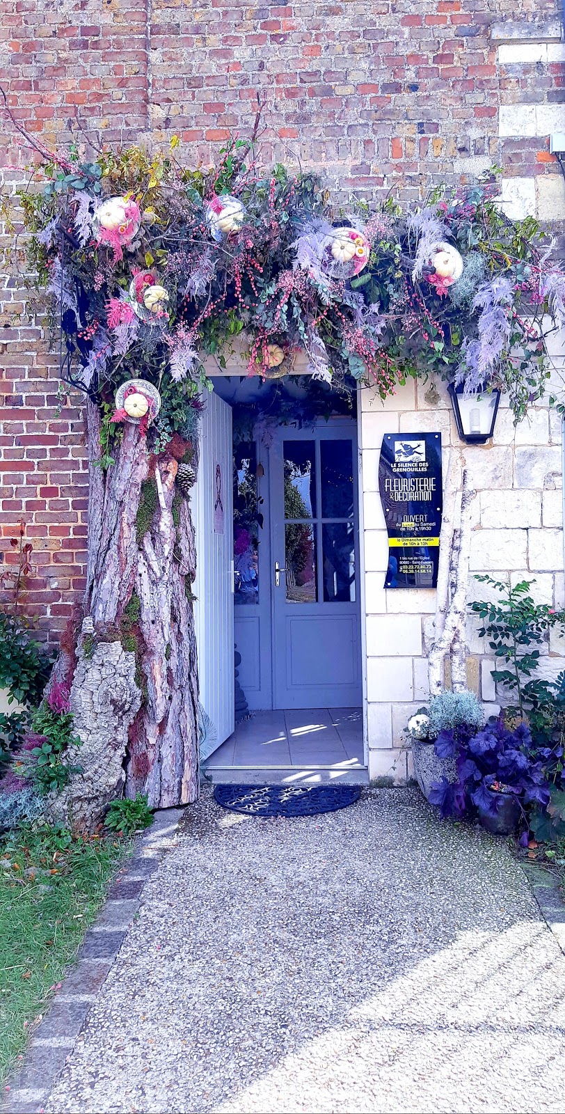 Le Silence des Grenouilles