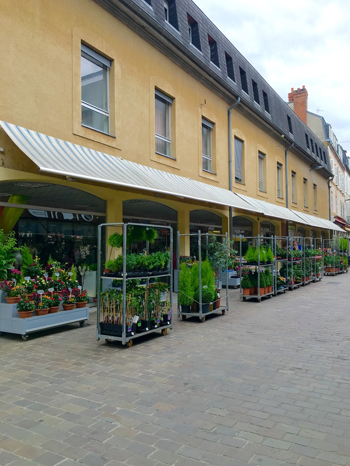 Cagnes Fleurs