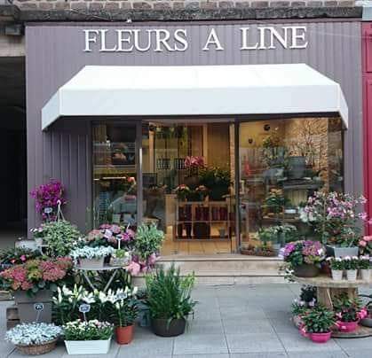 FLEURS A LINE