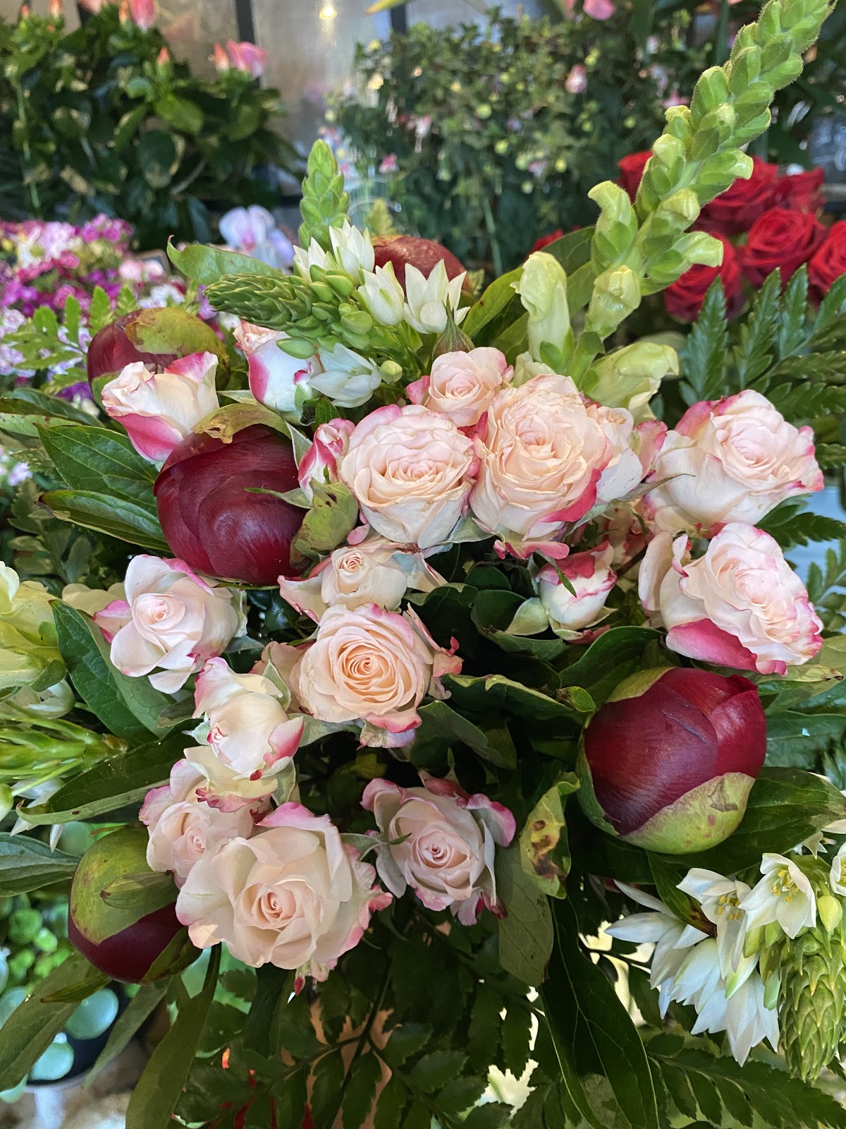 Jasmin, Lilas, etc…