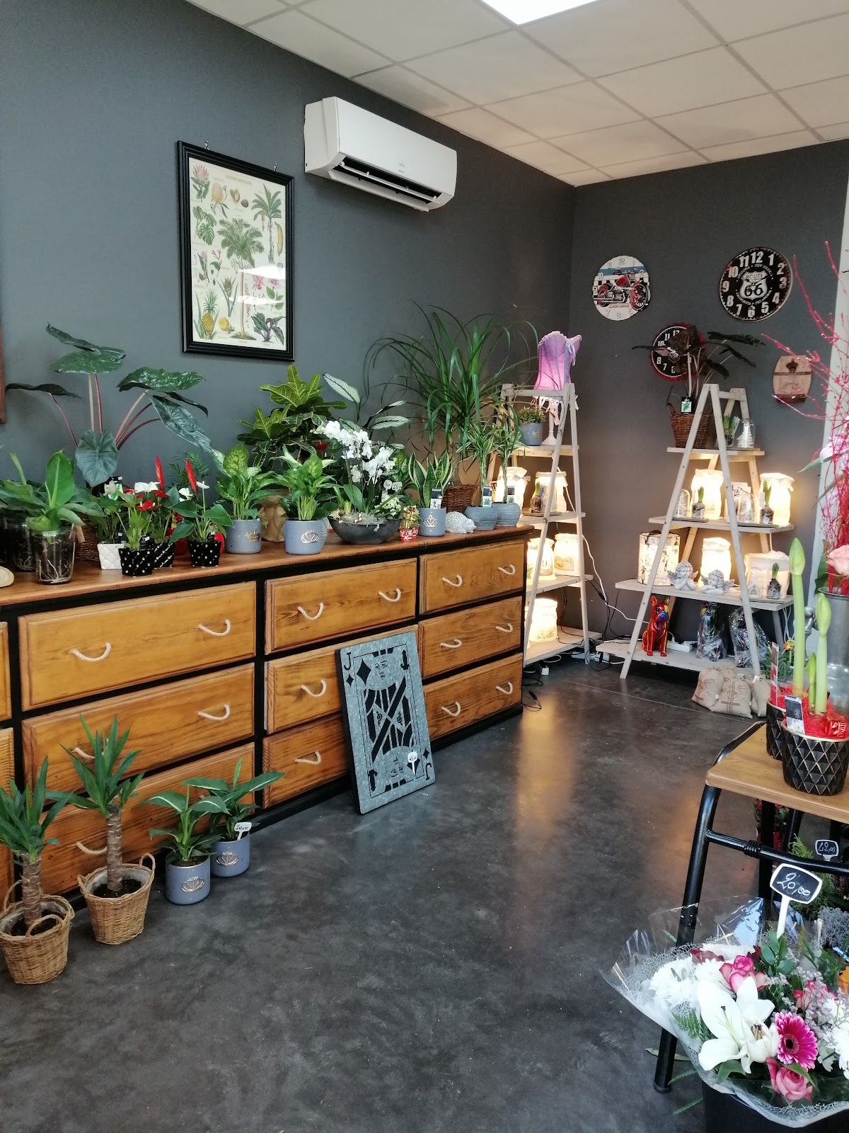 Les Fleurs du Castel