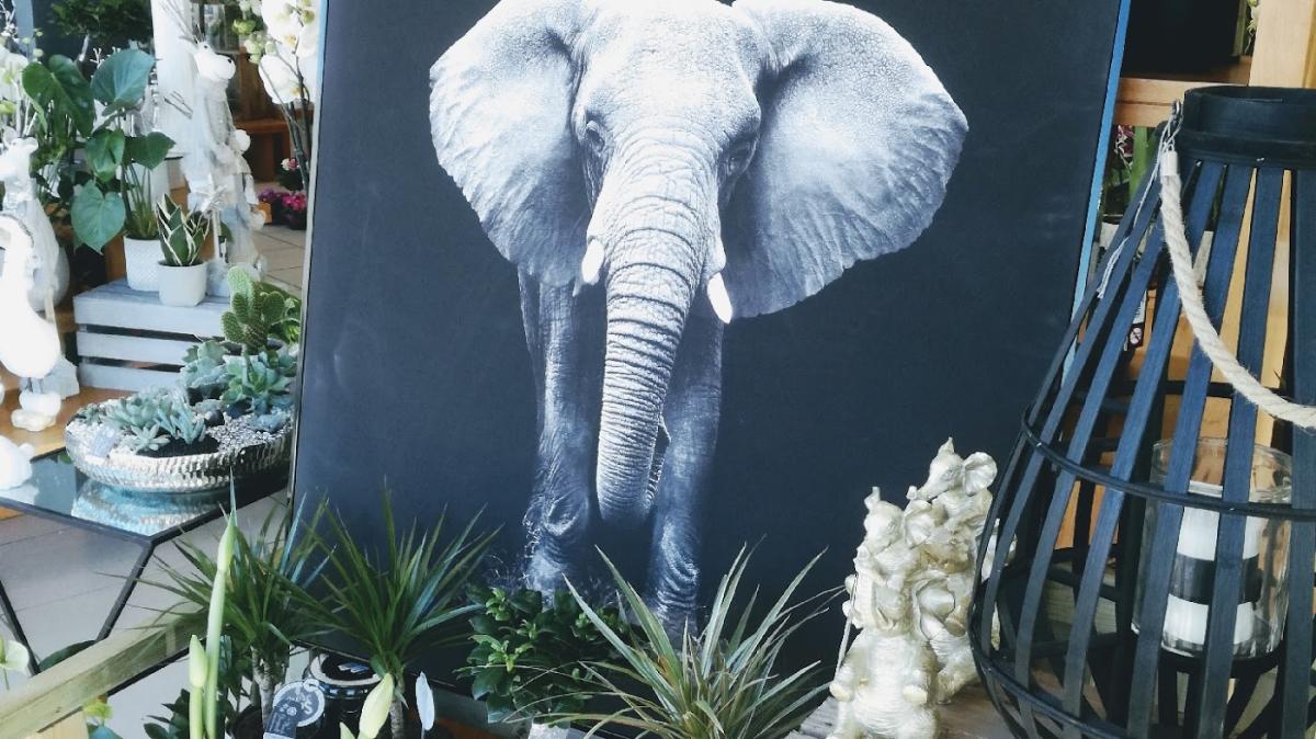 Fleuriste Georgeault