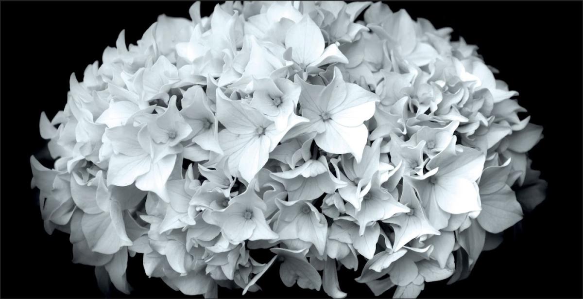 Pompes funèbres - Ambulances-Fleurs Cambon