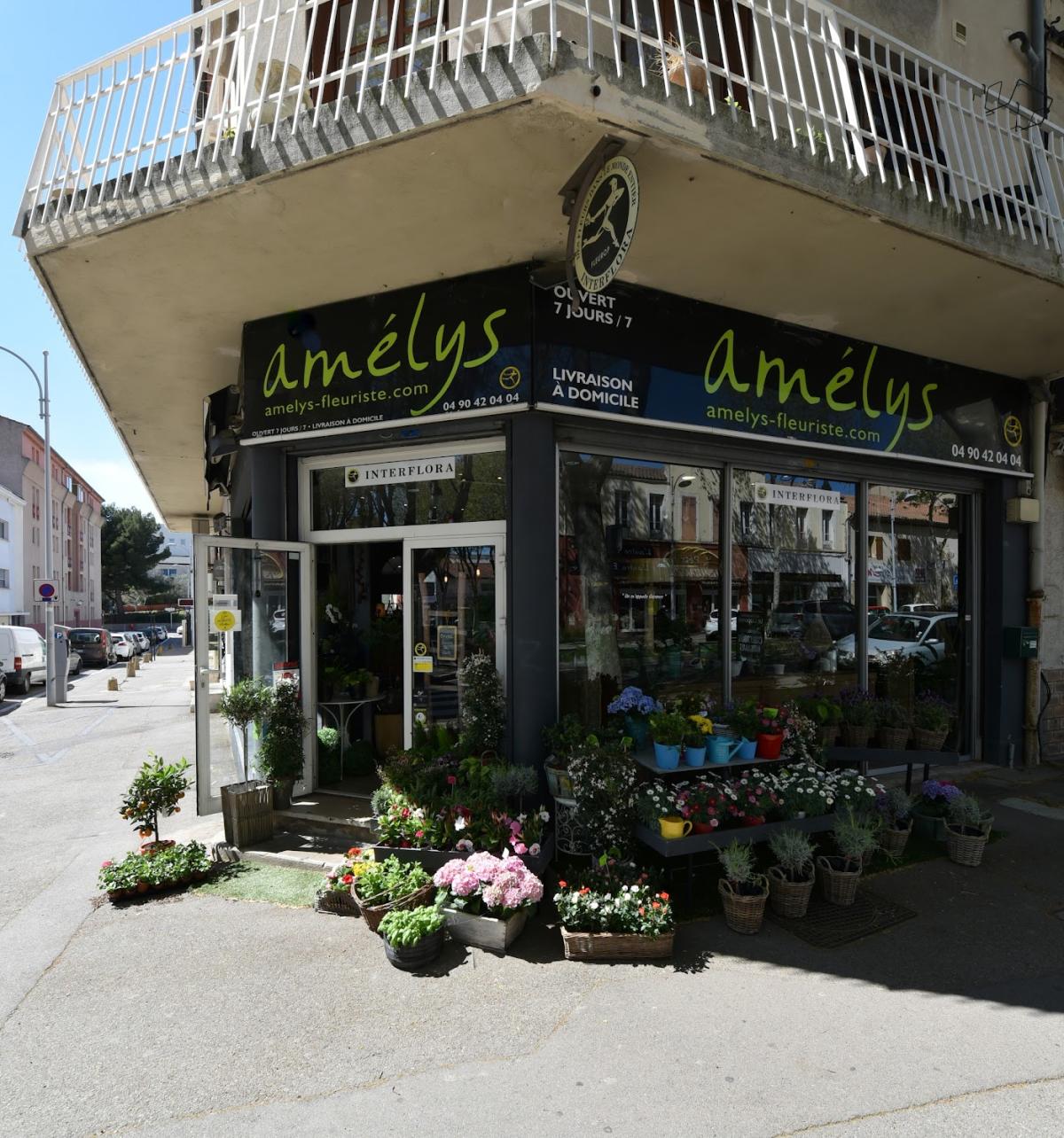 Amelys Cabane Maison de Fleurs et d'Objets
