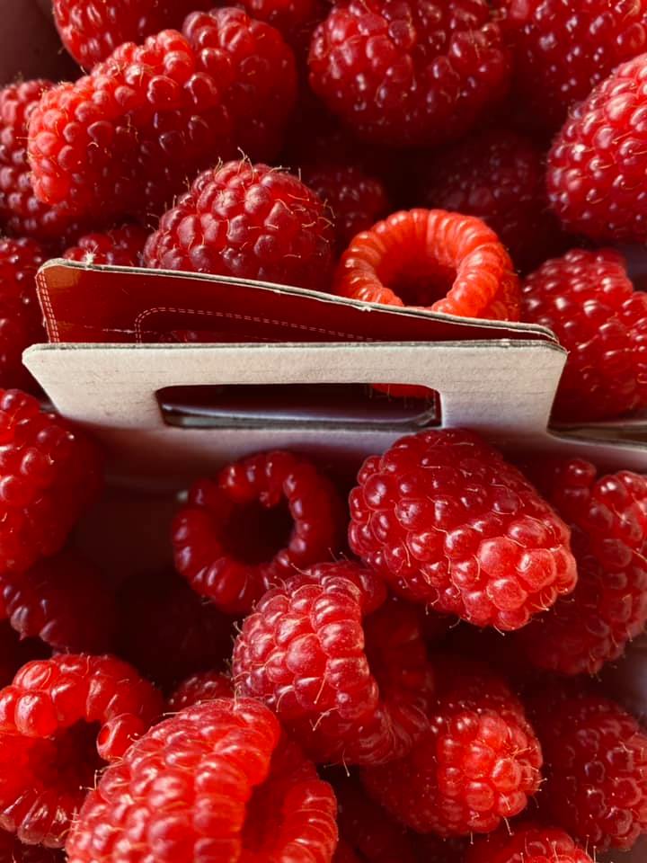 Les serres de la Floorantine