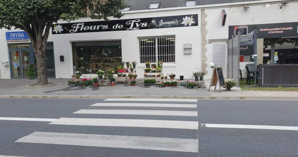 Fleurs de Lys de Beaugency