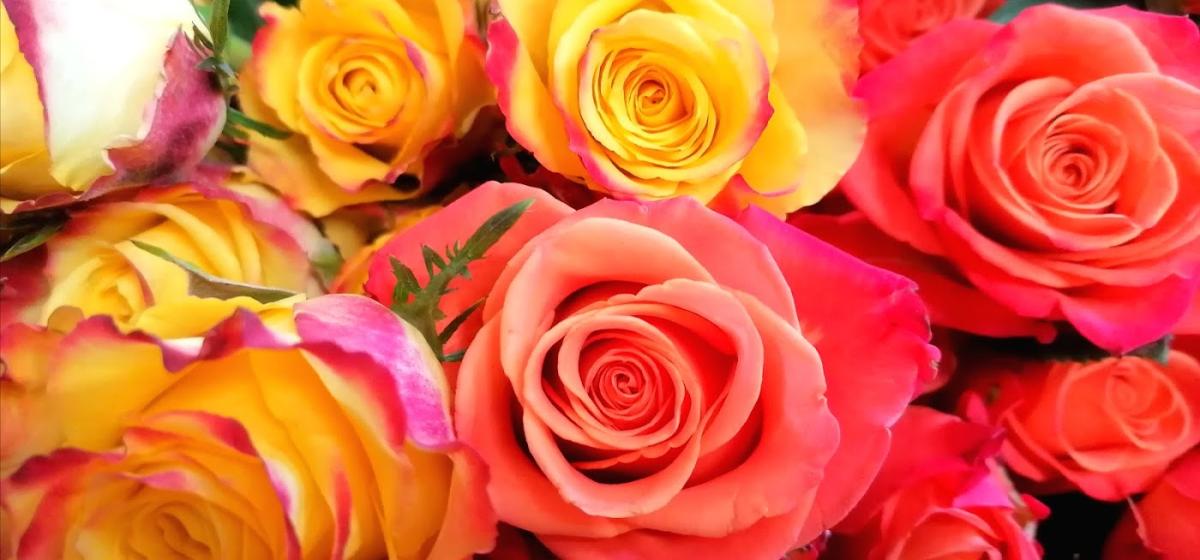 Atelier Flor Designer, Fleuriste Grenoble