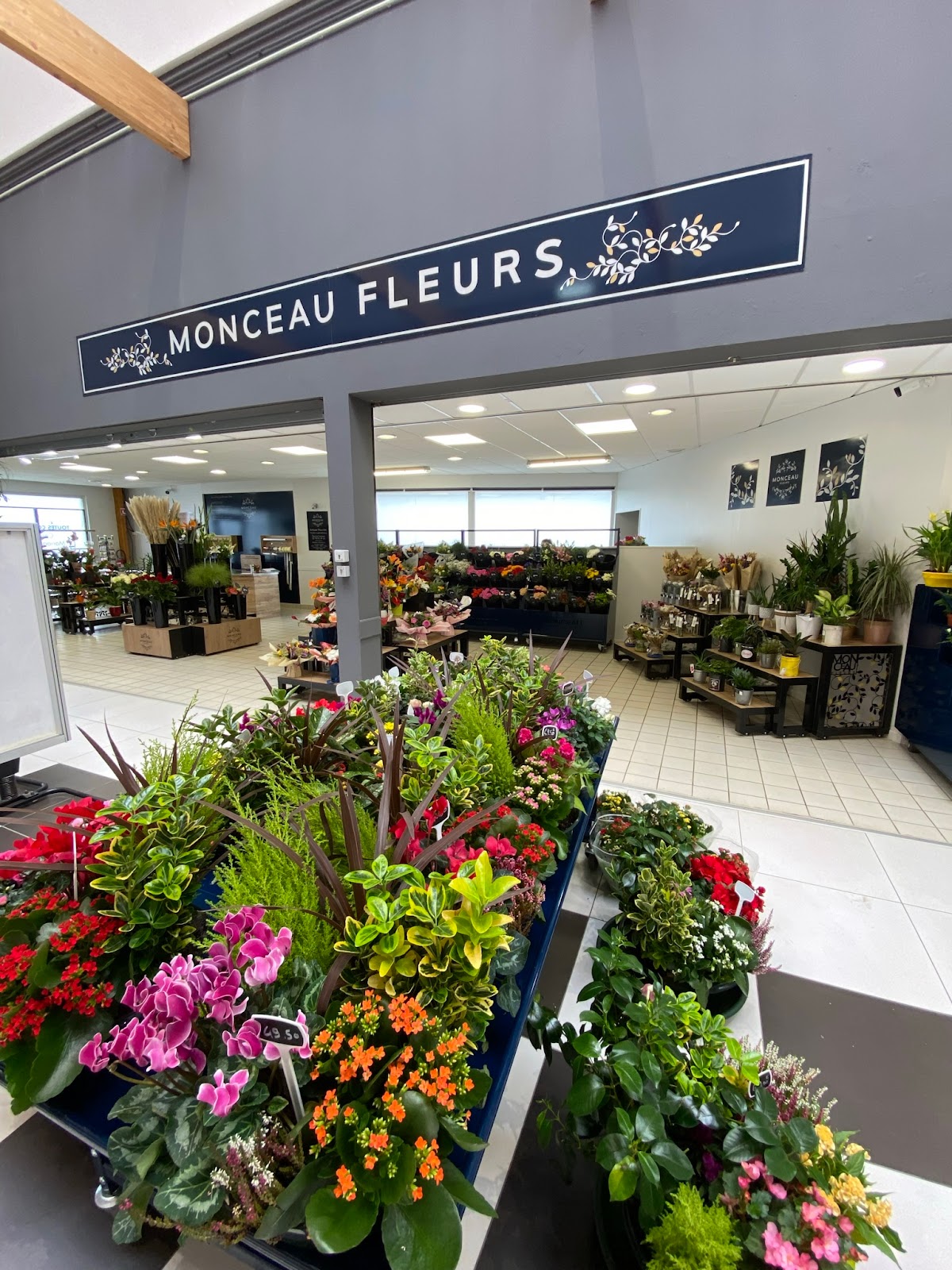 Monceau Fleurs Plouzané