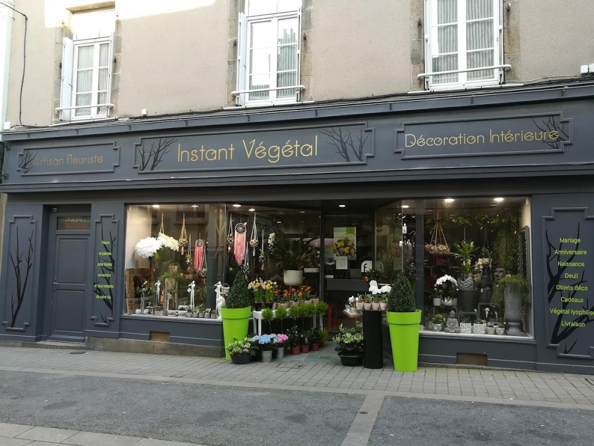 Instant végétal, Artisan Fleuriste Saint Malo