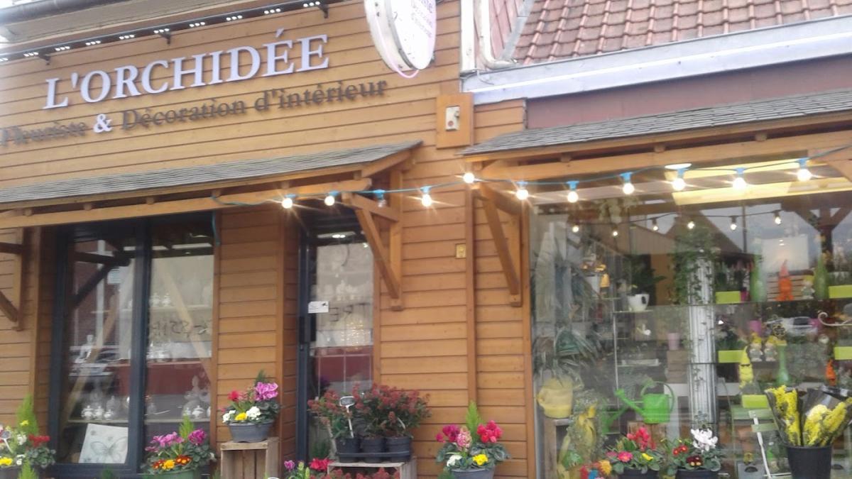 L’orchidée Sabine Coffignier