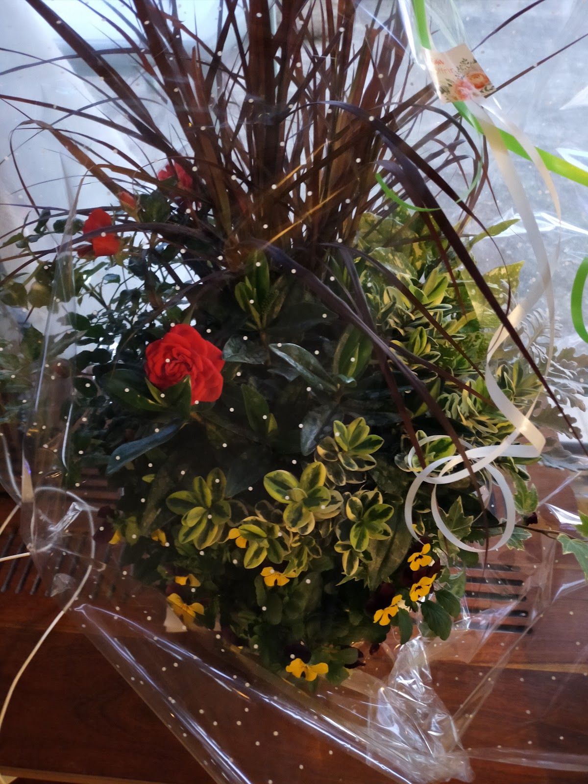 Les serres jacoboises