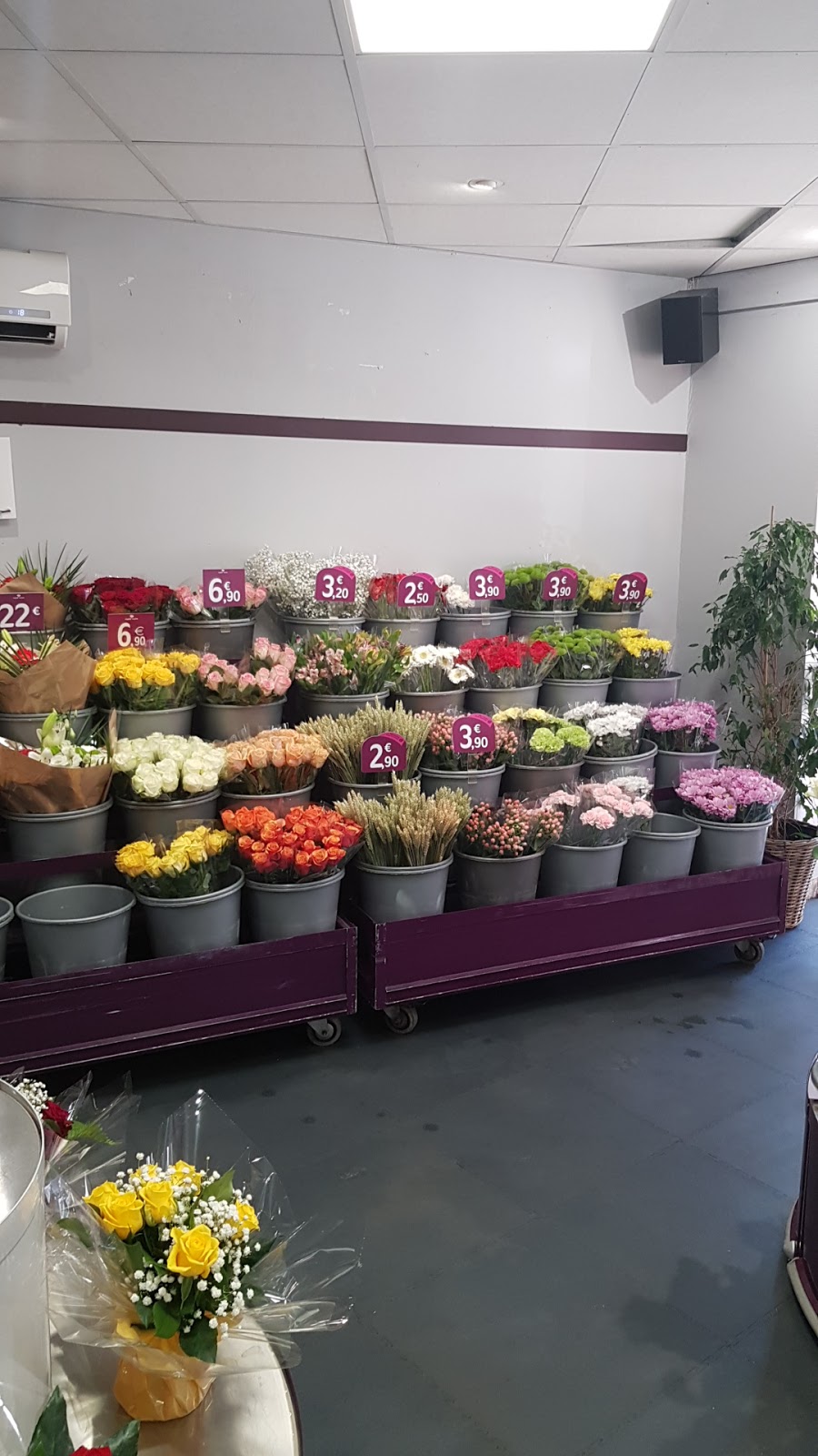 Rapid'Flore Fleuriste indépendant Franchisé