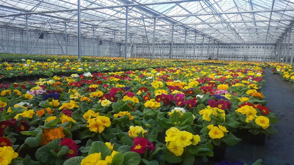 Horticulture Bernard Froger