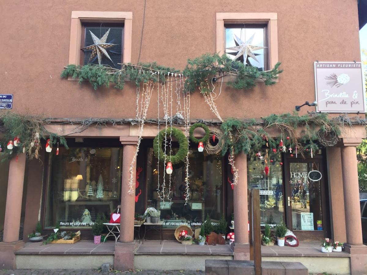 Brindille Et Pom de Pin