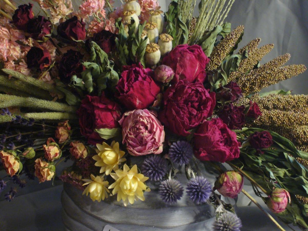 Fleurs séchées de Bayet