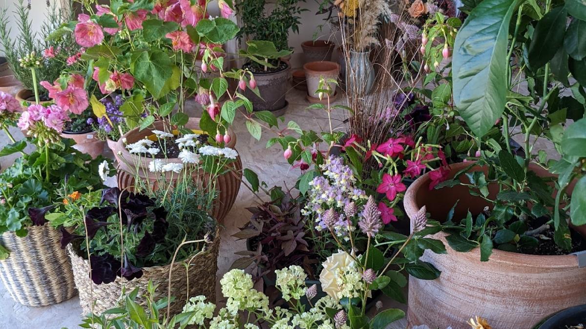 Bosco Fleurs Fleuriste Montaigu