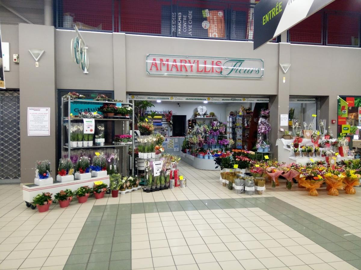 AMARYLLIS FLEURS