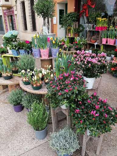 Fleurs de la Passion, Artisan Fleuriste Martigues