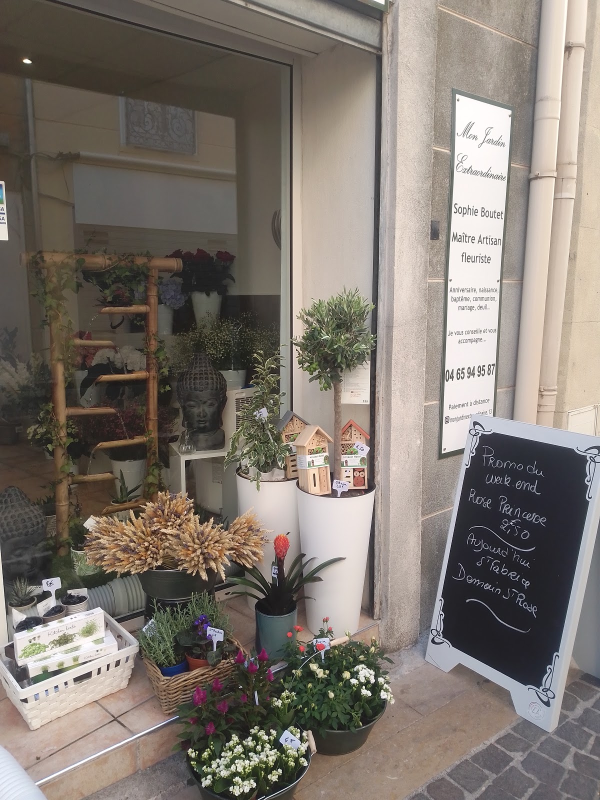 Fleuriste Mon Jardin Extraordinaire