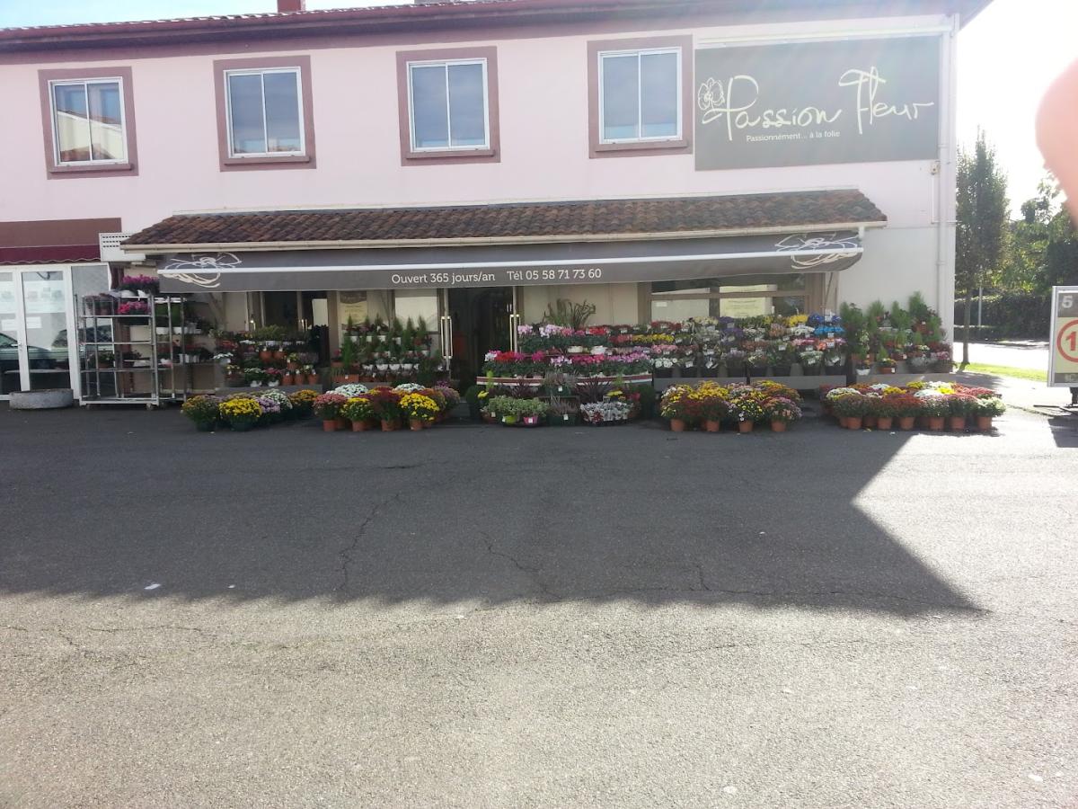 Passion Fleur Aire sur l Adour