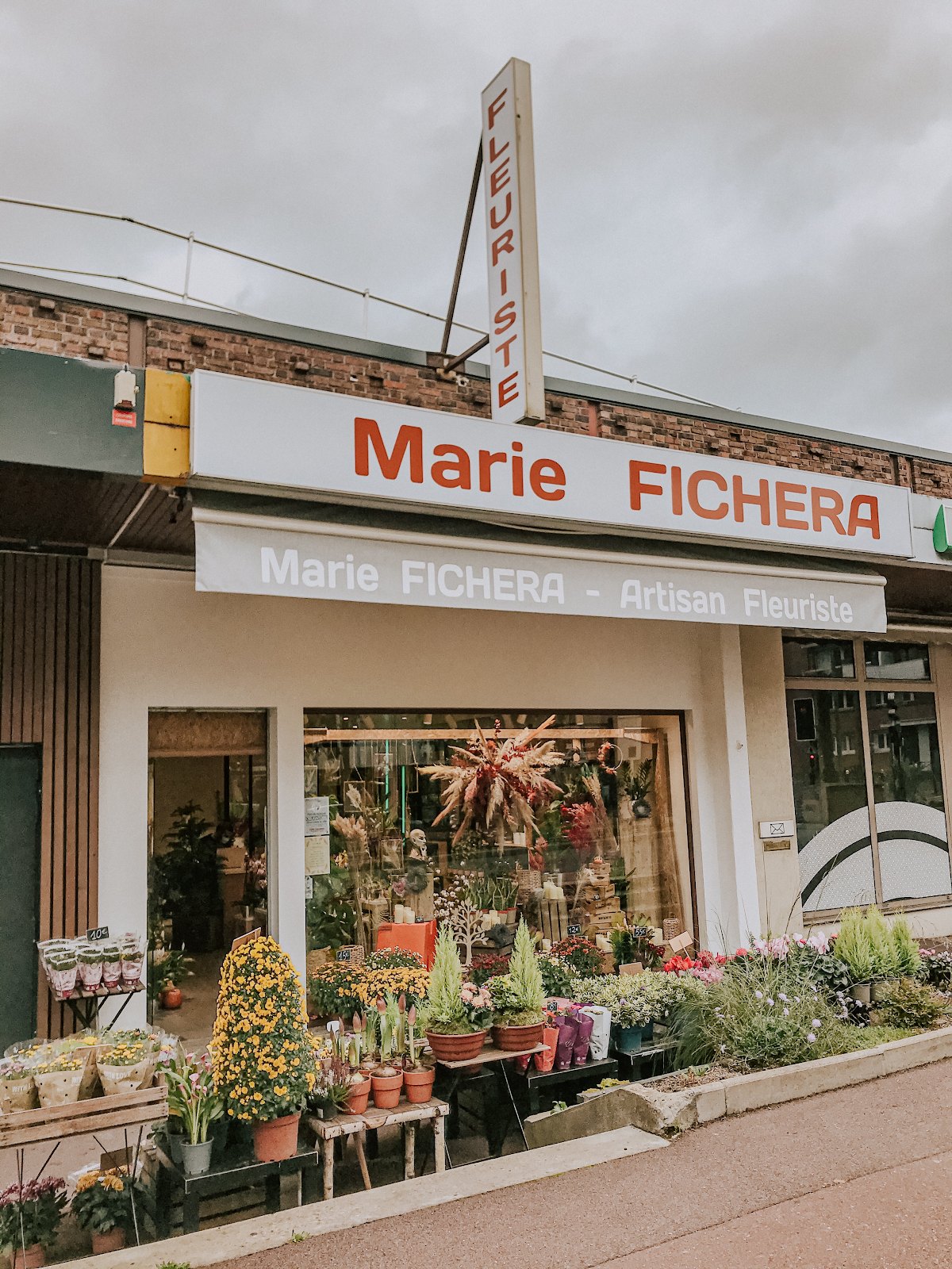 Marie Fichera - Artisan Fleuriste & Designer Floral