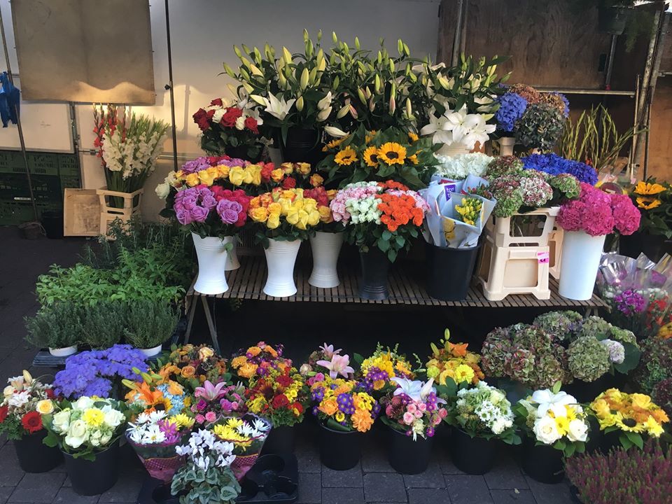 Horticulture Reutenauer Rémy