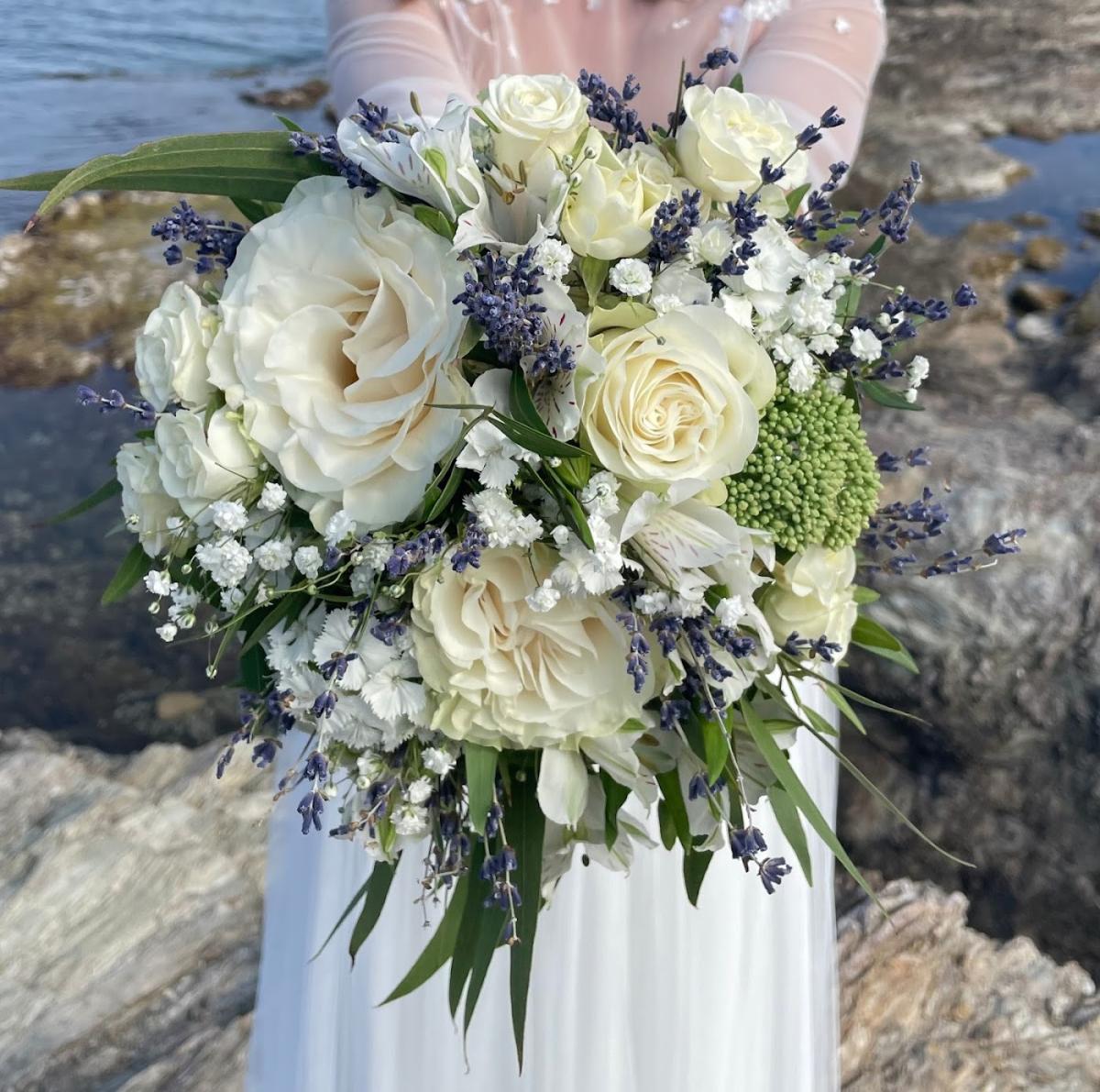 Le Plan Fleuri Virginie