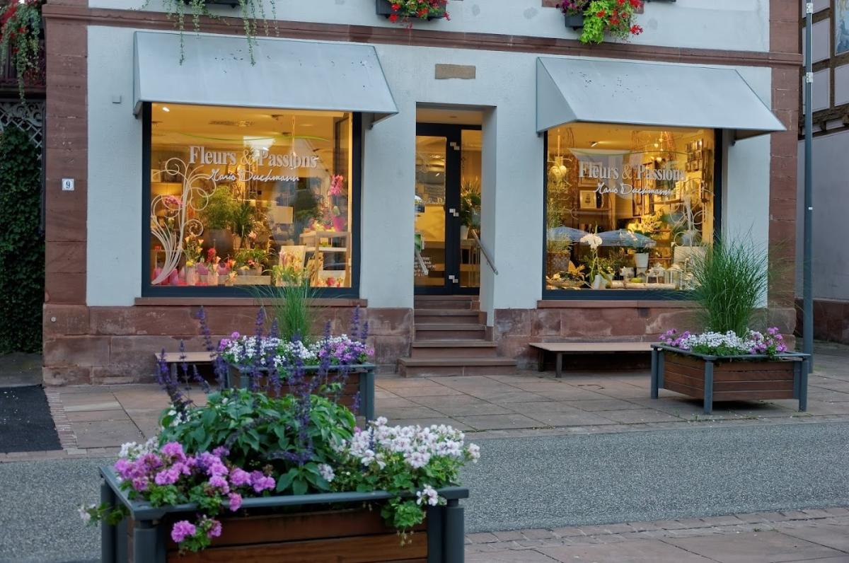 Fleurs Duchmann Par Stéphanie