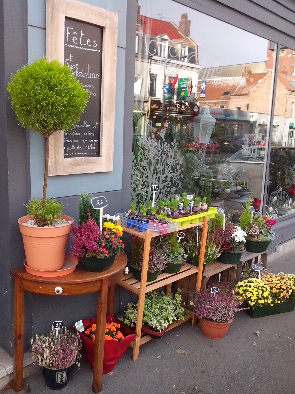 Veroliv Fleurs et Plantes
