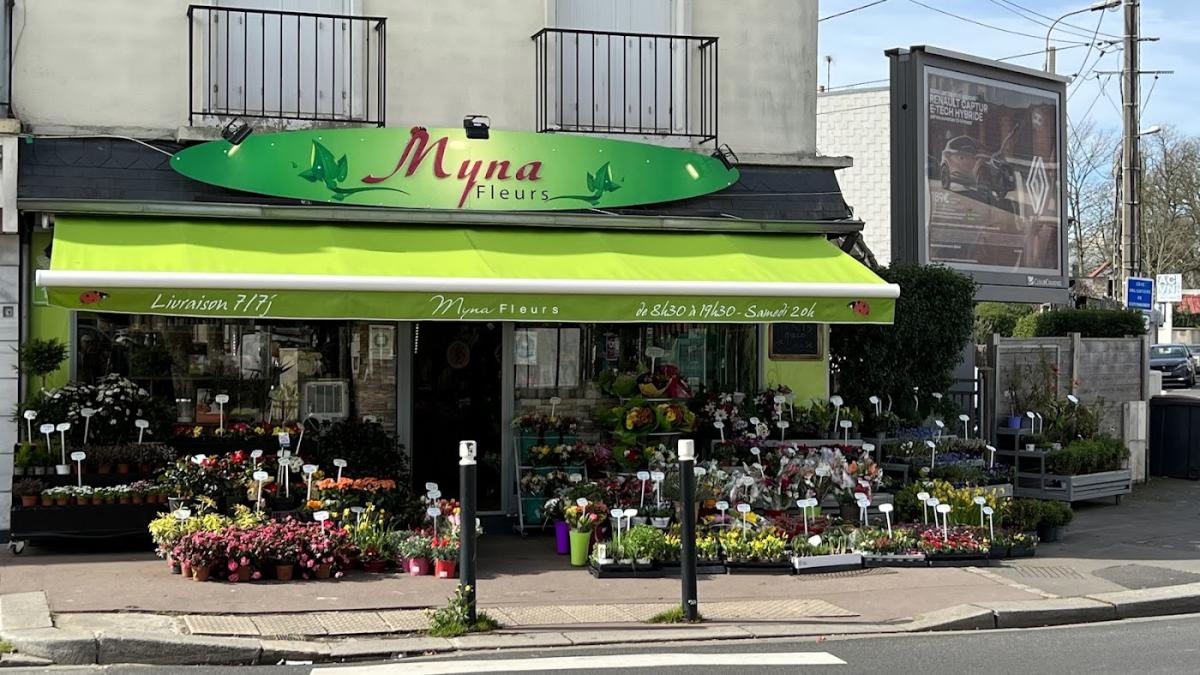 Fleurs Myna Le Havre
