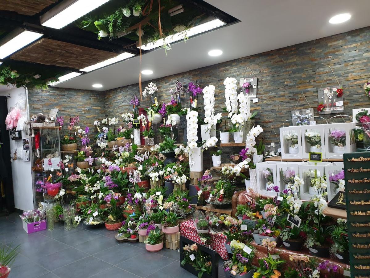 Fleuriste Goussainville Les Fleurs de L'Olympe