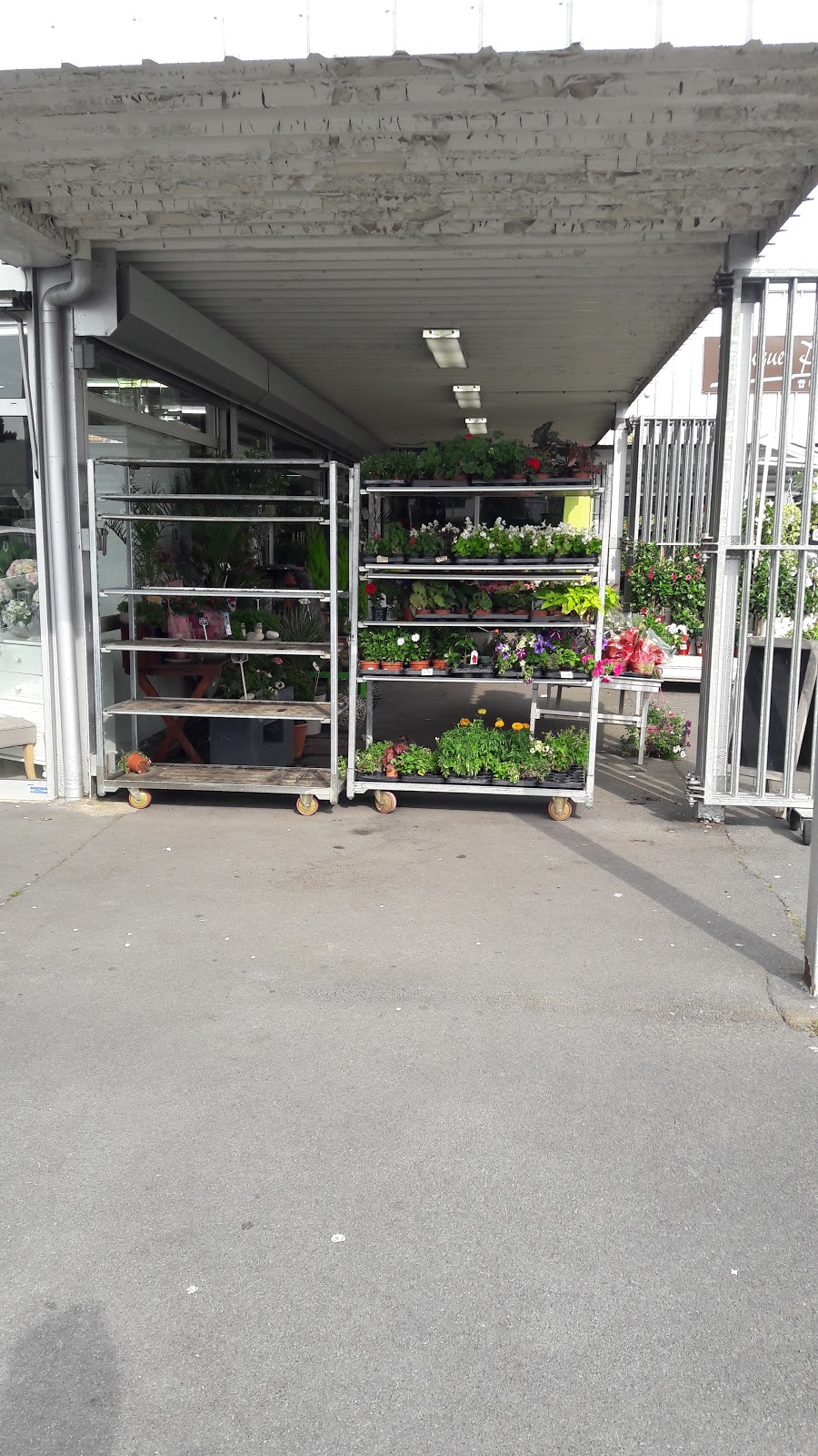 BOUQUET PASSION BRUZZESE