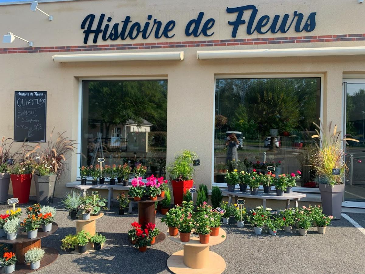 Histoire de Fleurs