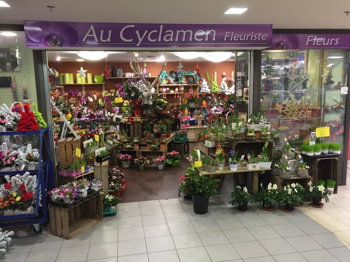 Au Cyclamen
