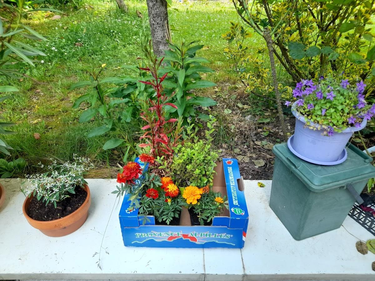 Evrard Horticulture, Maraîchage