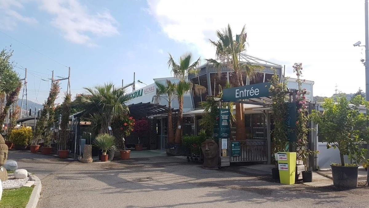 Truffaut Petruccioli