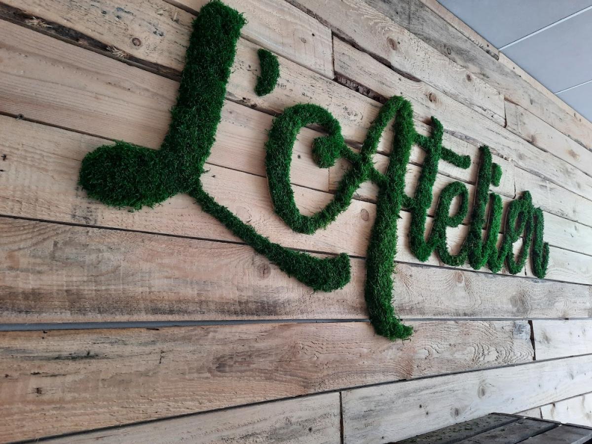 Écrin Végétal | Créations de plantes et végétaux stabilisés à Bouc-Bel-Air