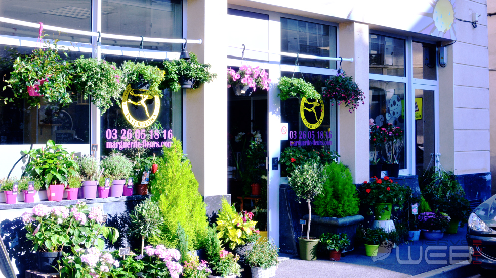 Marguerite fleuriste