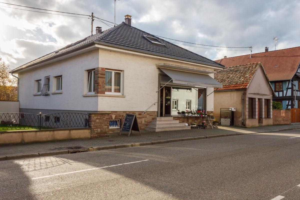 Fil de Fer et Feuille de Chou