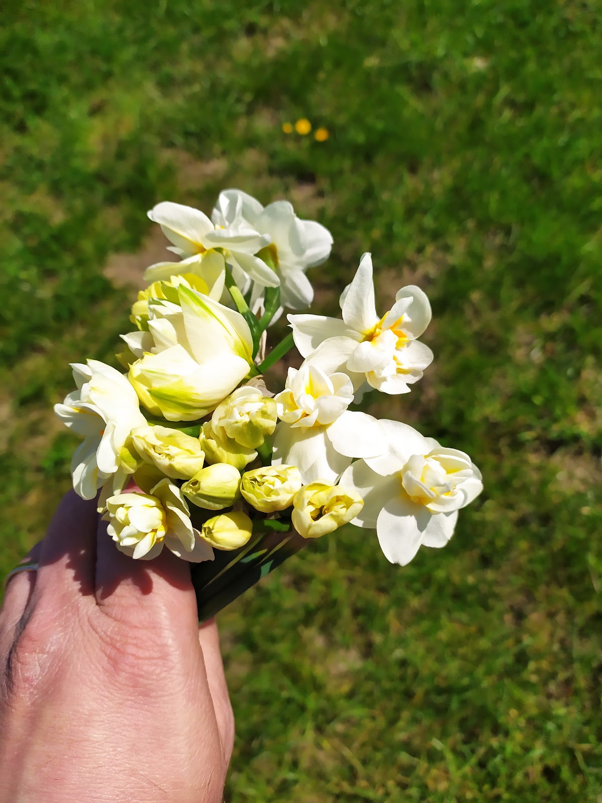 Libre cuillette des fleurs