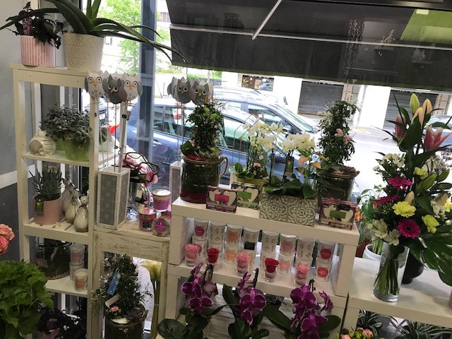 Aux Roses de Fontenay