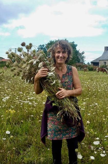DISKRAB Fleurs naturelles du jardin