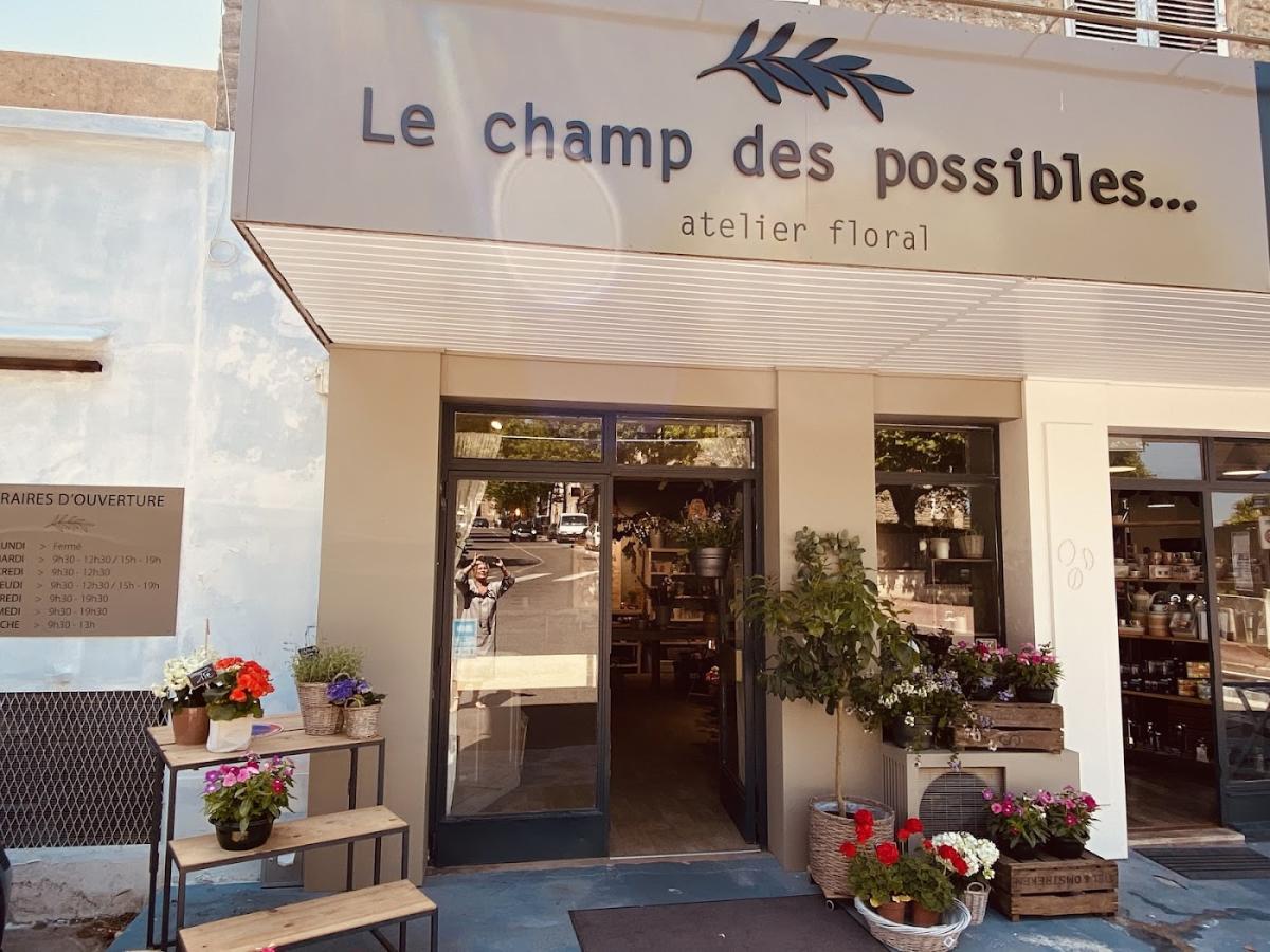 Le champ des possibles