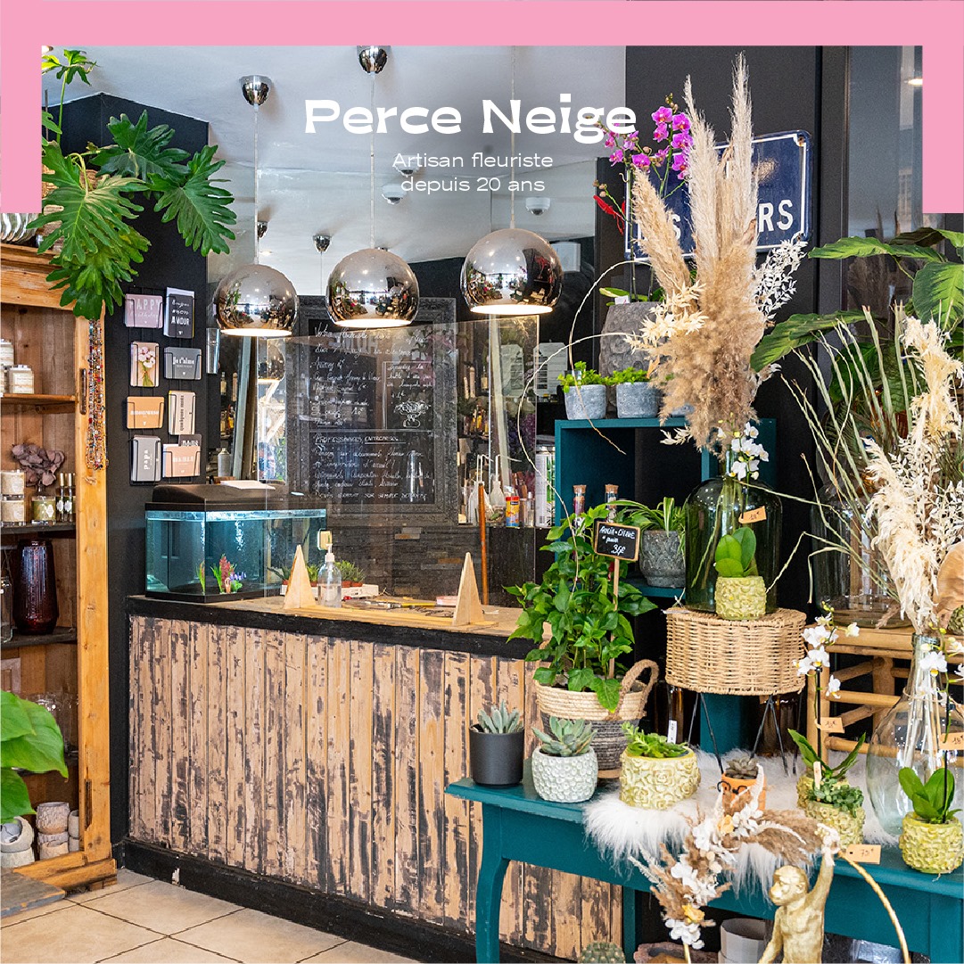 Perce Neige, Fleuriste à Annecy