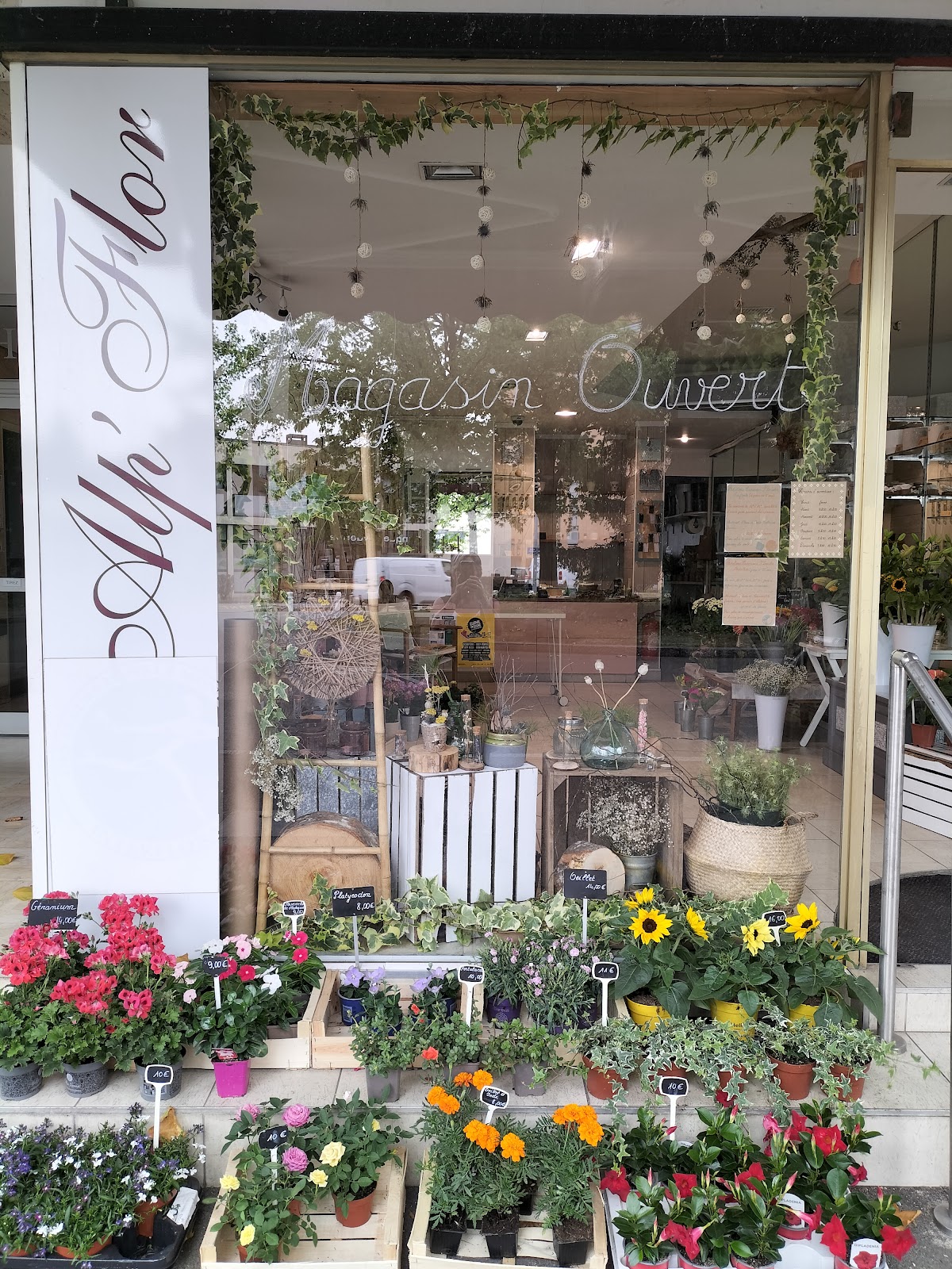 ALP'FLOR, changement de propriétaire