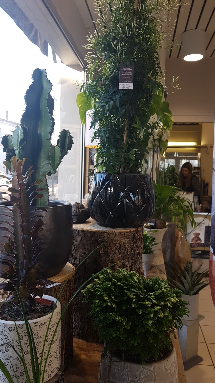 Gam Fleurs Chlorisse