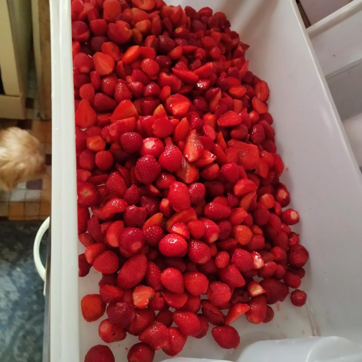 Scea DE LA TUILERIE - BRUNET FABIEN