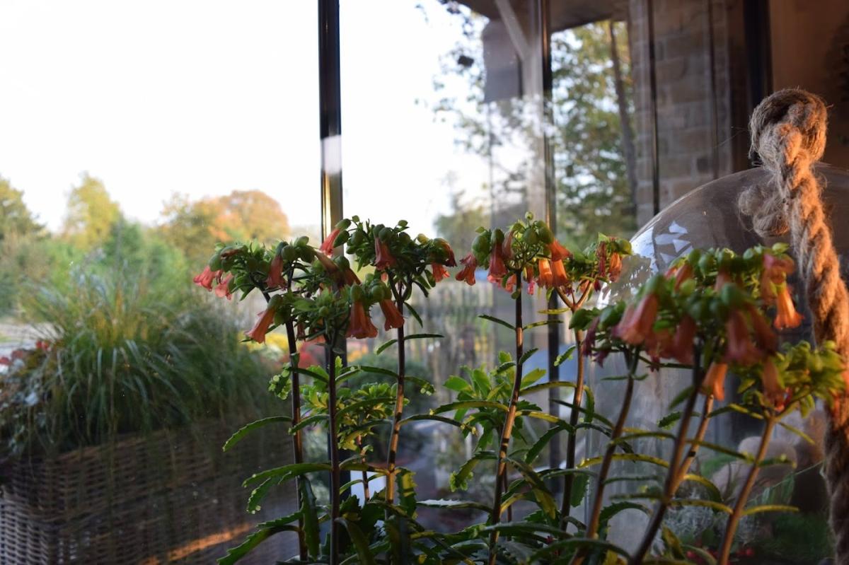 Tendance Nature - Odile Delautel