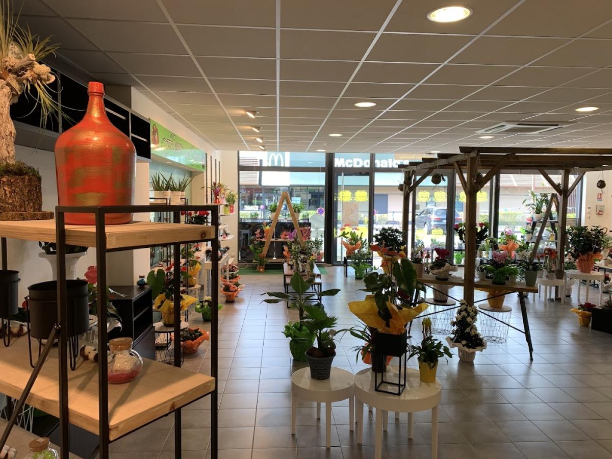 Fleurs de Coton Coutras