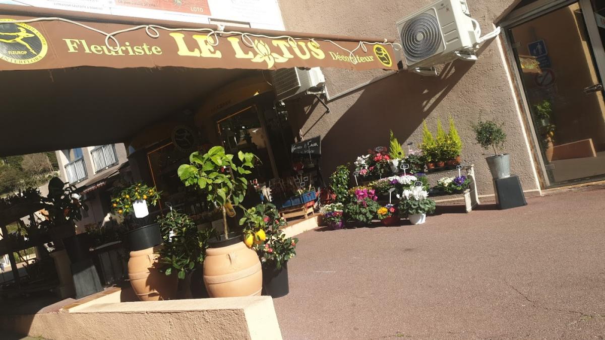 Le Lotus Fleurs